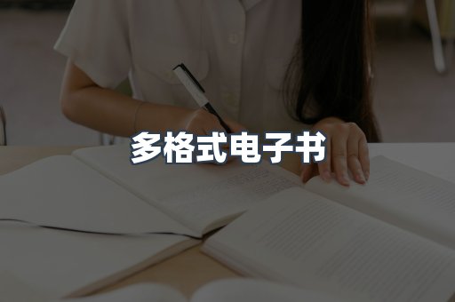多格式电子书